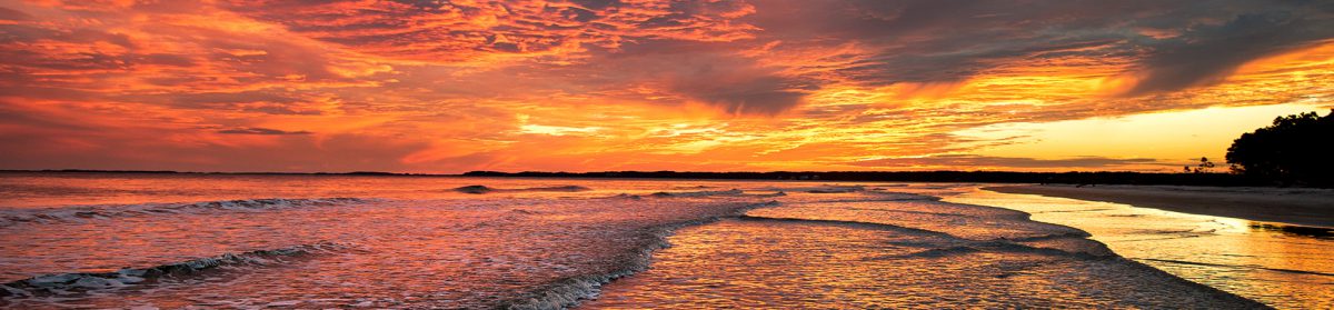 Fresh Smiles in the Lowcountry